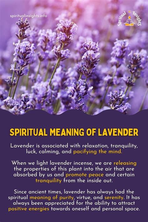 Magical qualities of lavender